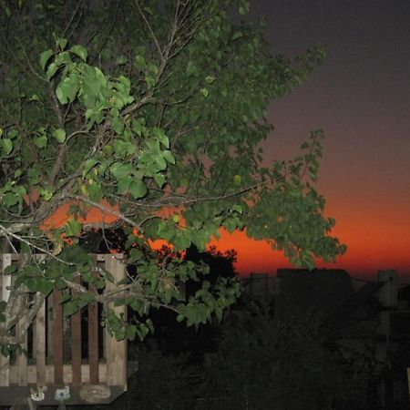 Apartmán The House By The Mulberry Tree Neve Ilan Exteriér fotografie