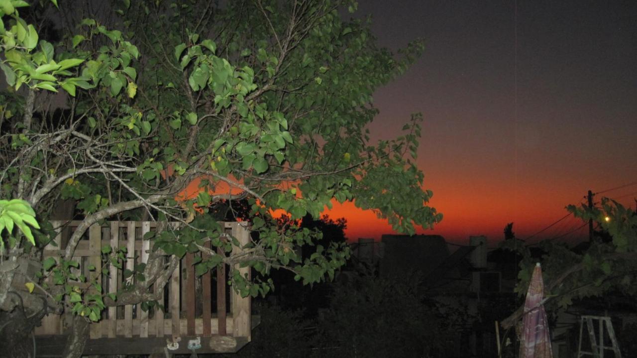 Apartmán The House By The Mulberry Tree Neve Ilan Exteriér fotografie